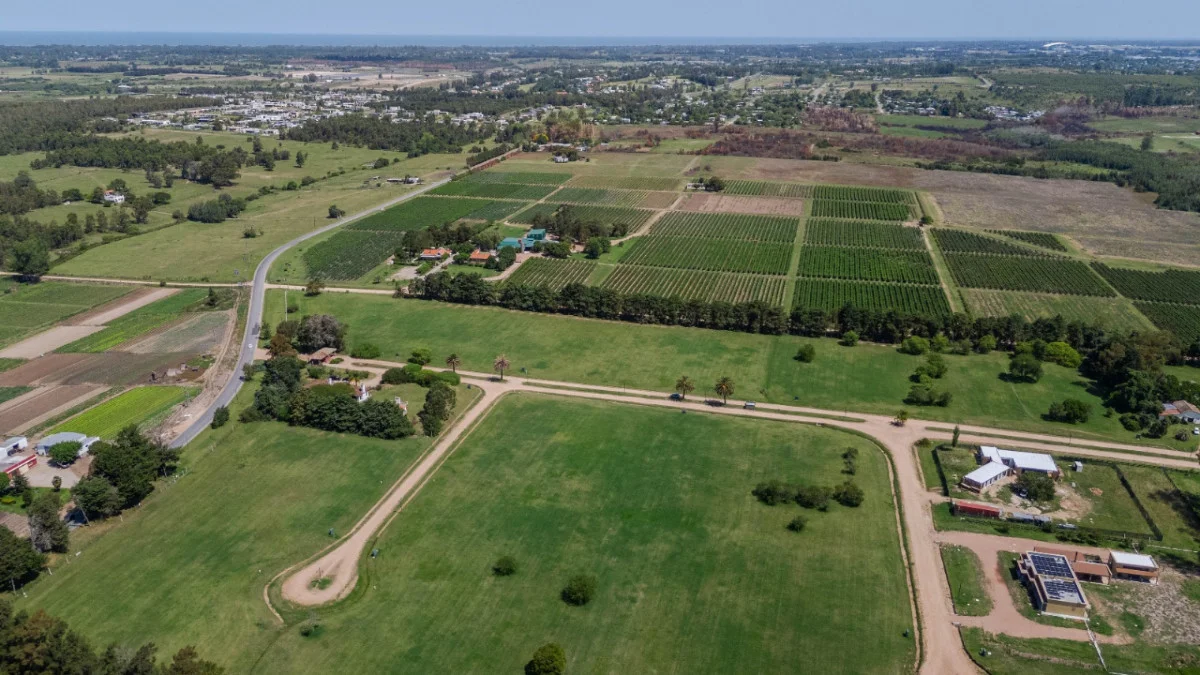 Terreno en Canelones, propiedad 284412 -Imagen 7