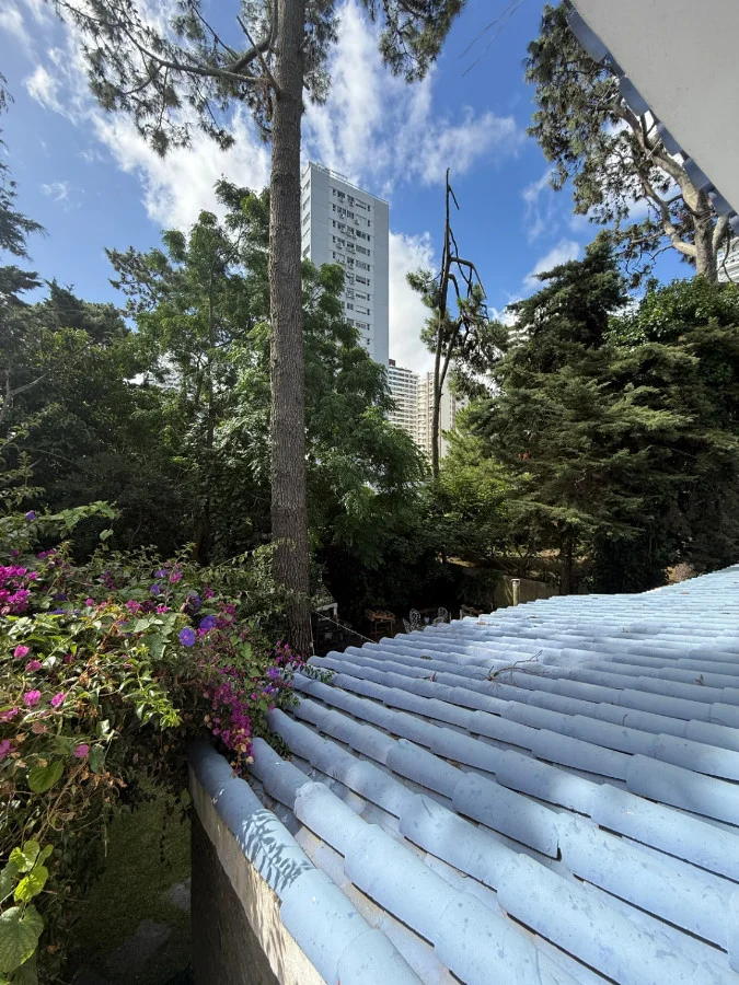 Casa en Barrio Cantegril, propiedad 284433 -Imagen 22