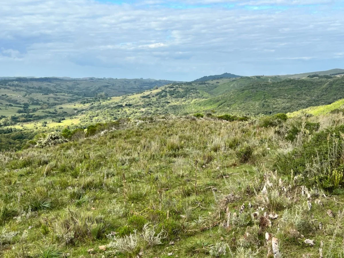 Chacra en Minas, propiedad 284434 -Imagen 12