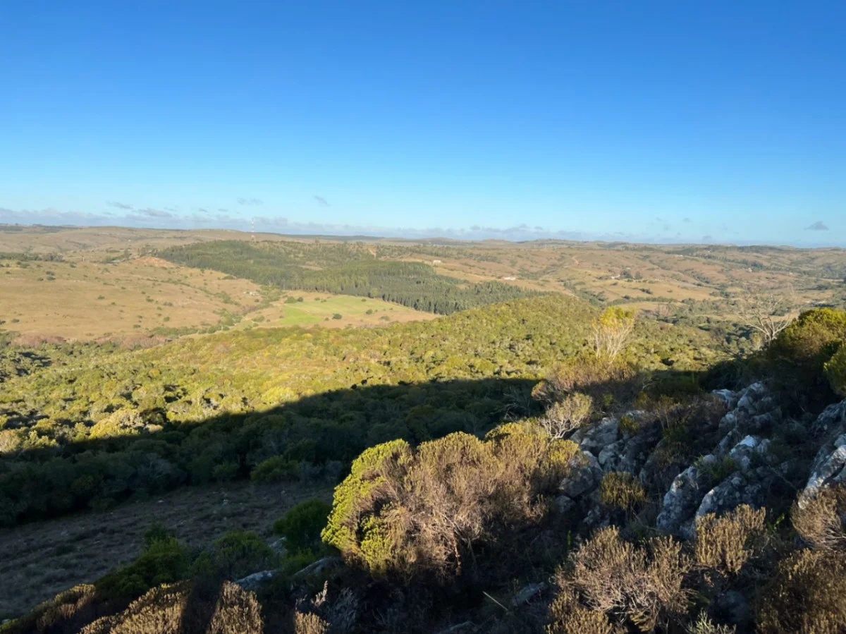 Chacra en Minas, propiedad 284434 -Imagen 13