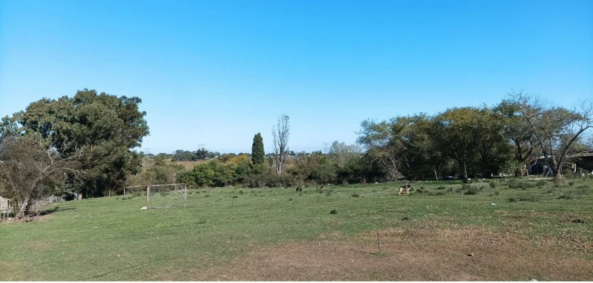 Chacra en Punta Rieles, propiedad 284442 -Imagen 4