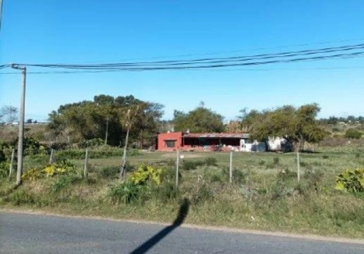 Chacra en Punta Rieles, propiedad 284442 -Imagen 5