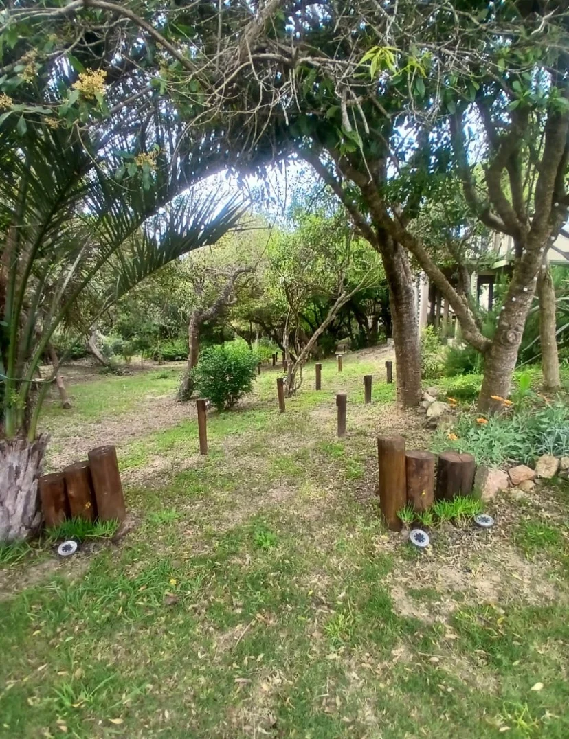 Casa en Punta Rubia, propiedad 291961 -Imagen 5