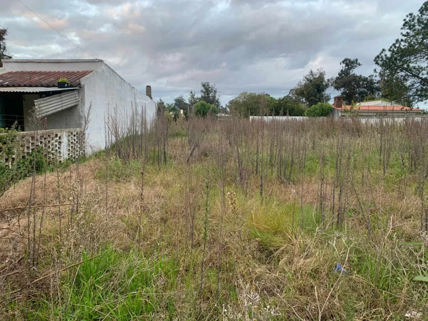 Terreno en Rocha, propiedad 291962 -Imagen 4