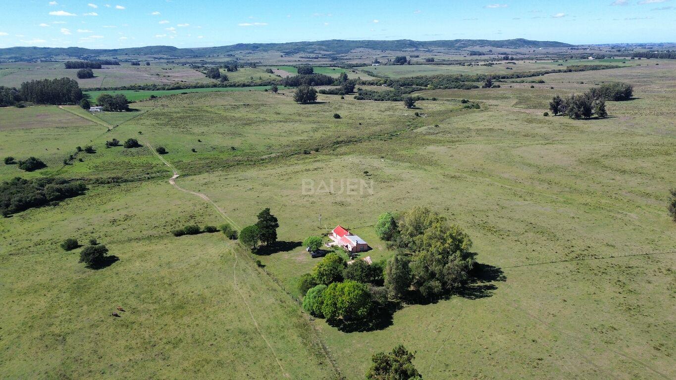 Campo en Rural, propiedad 188241 -Imagen 3