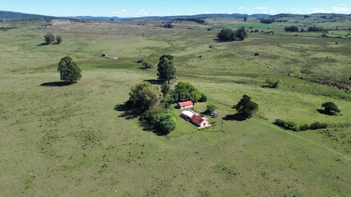 Campo en Rural, propiedad 188241 -Imagen 7