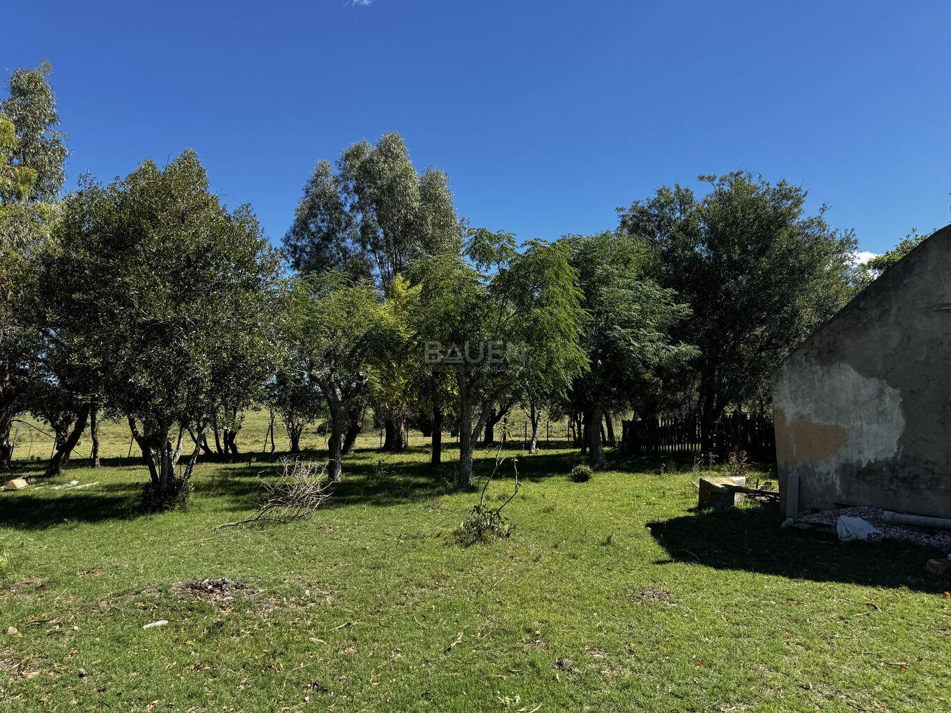 Campo en Rural, propiedad 188241 -Imagen 9
