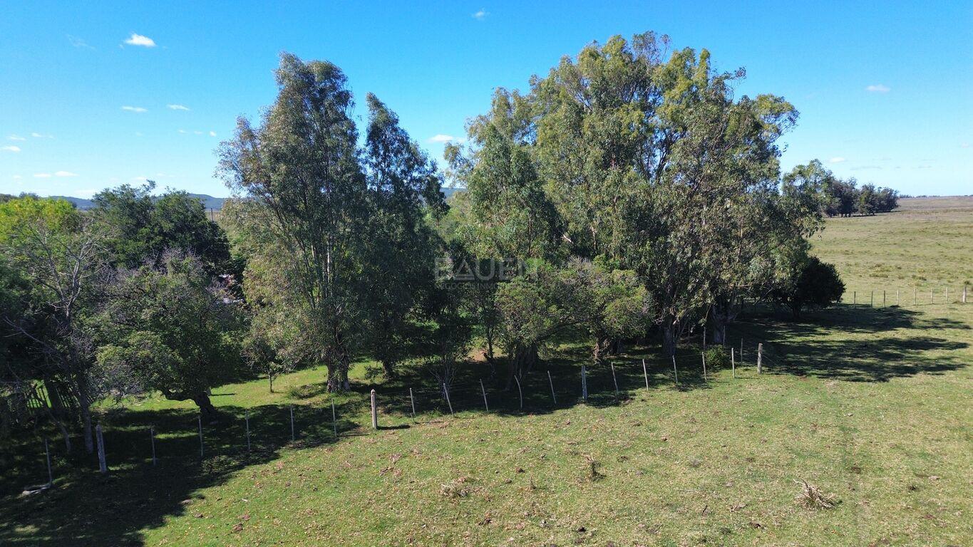 Campo en Rural, propiedad 188241 -Imagen 11