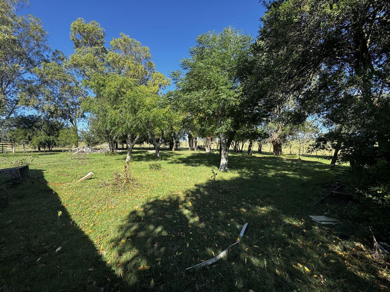 Campo en Rural, propiedad 188241 -Imagen 10