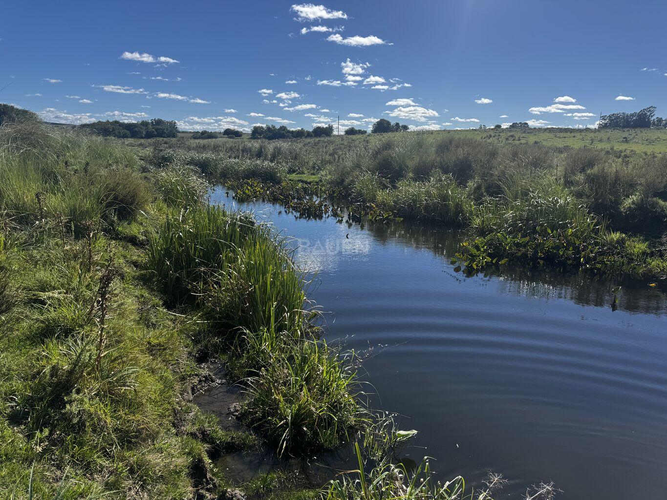 Campo en Rural, propiedad 188241 -Imagen 12