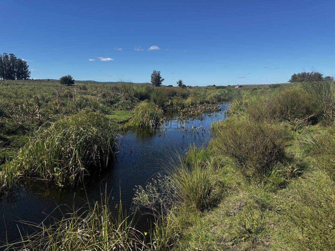 Campo en Rural, propiedad 188241 -Imagen 13