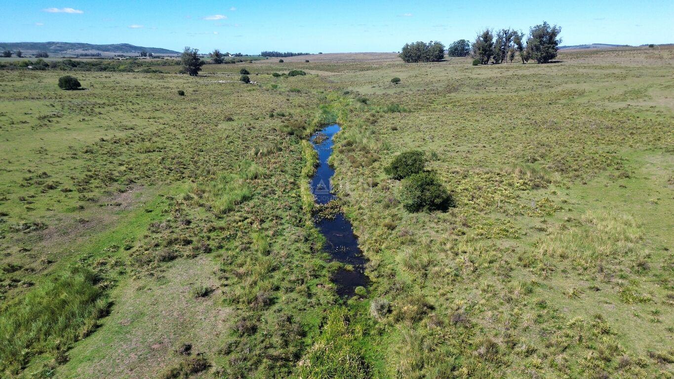 Campo en Rural, propiedad 188241 -Imagen 14