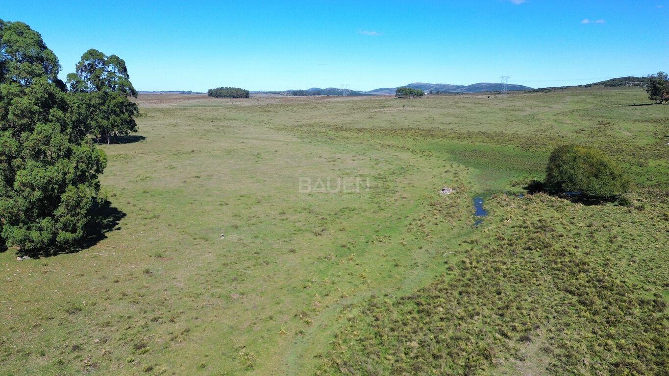 Campo en Rural, propiedad 188241 -Imagen 17