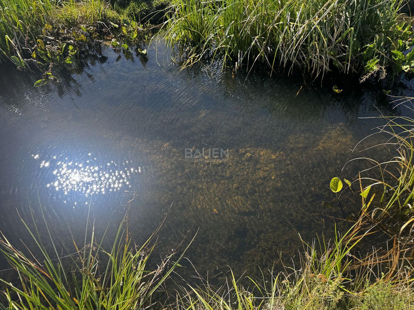 Campo en Rural, propiedad 188241 -Imagen 15