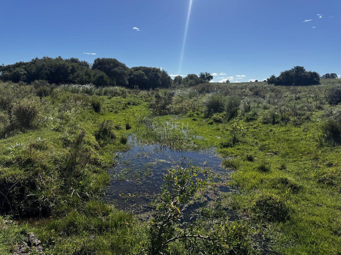 Campo en Rural, propiedad 188241 -Imagen 16