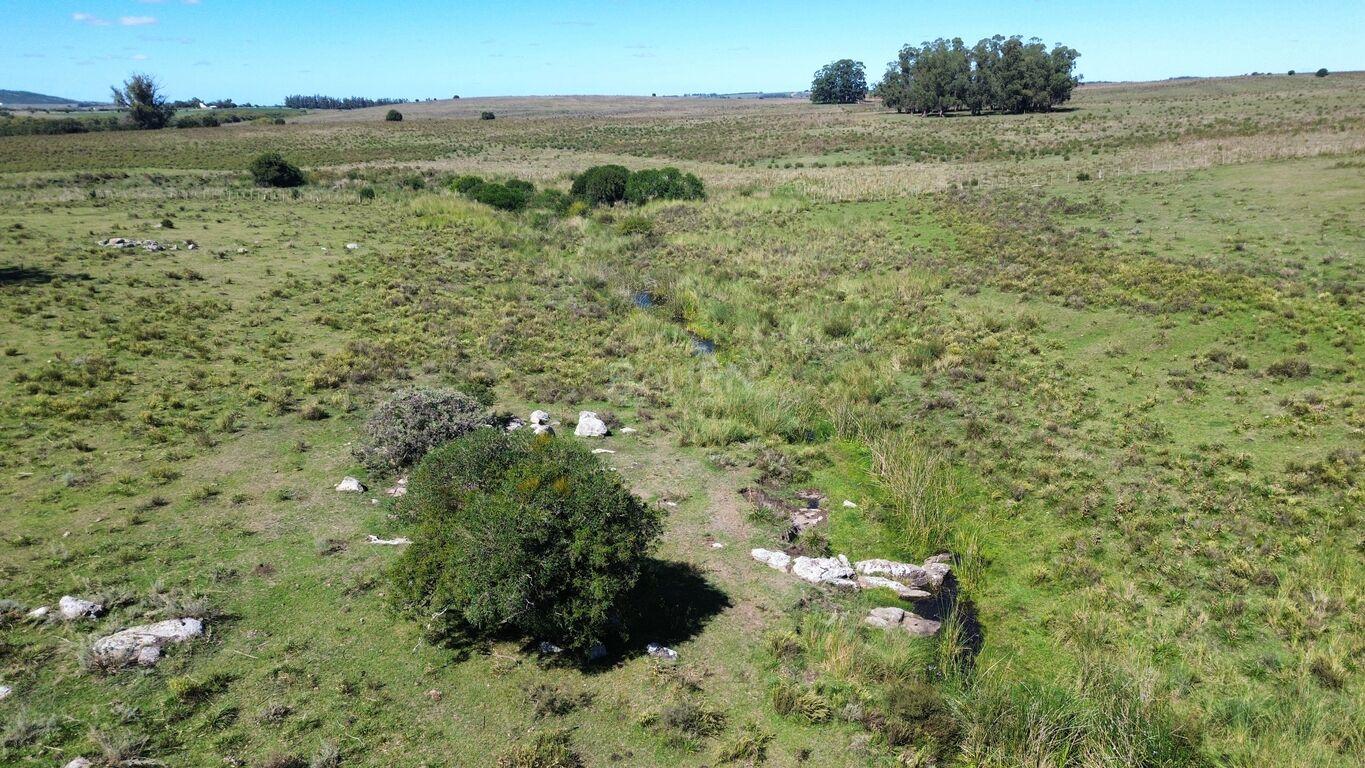 Campo en Rural, propiedad 188241 -Imagen 18