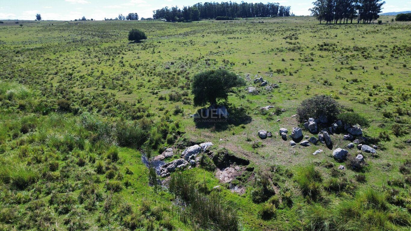 Campo en Rural, propiedad 188241 -Imagen 19