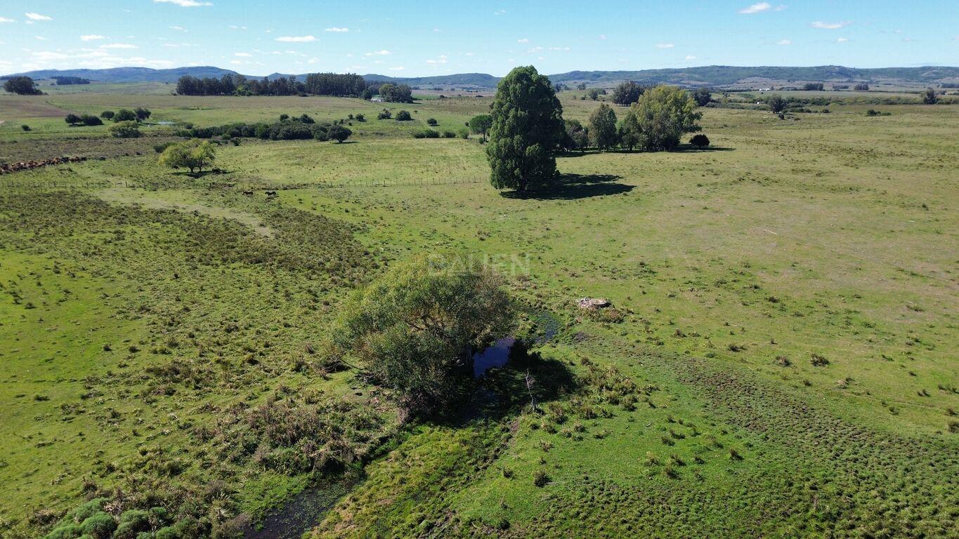 Campo en Rural, propiedad 188241 -Imagen 20