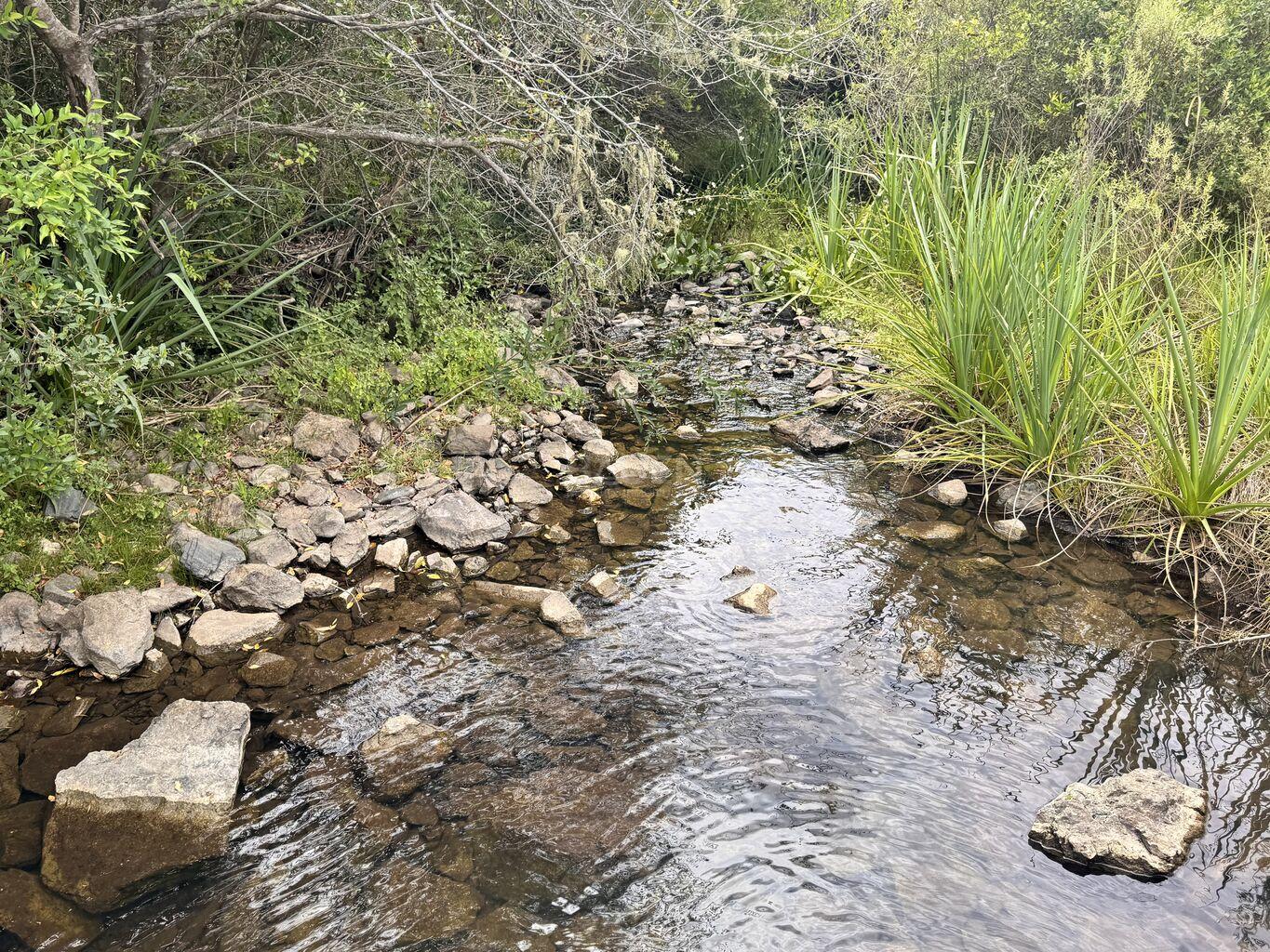 Chacra en Minas, propiedad 265676 -Imagen 17