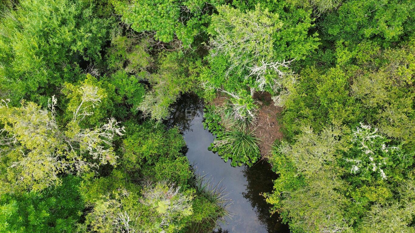 Chacra en Minas, propiedad 265676 -Imagen 22
