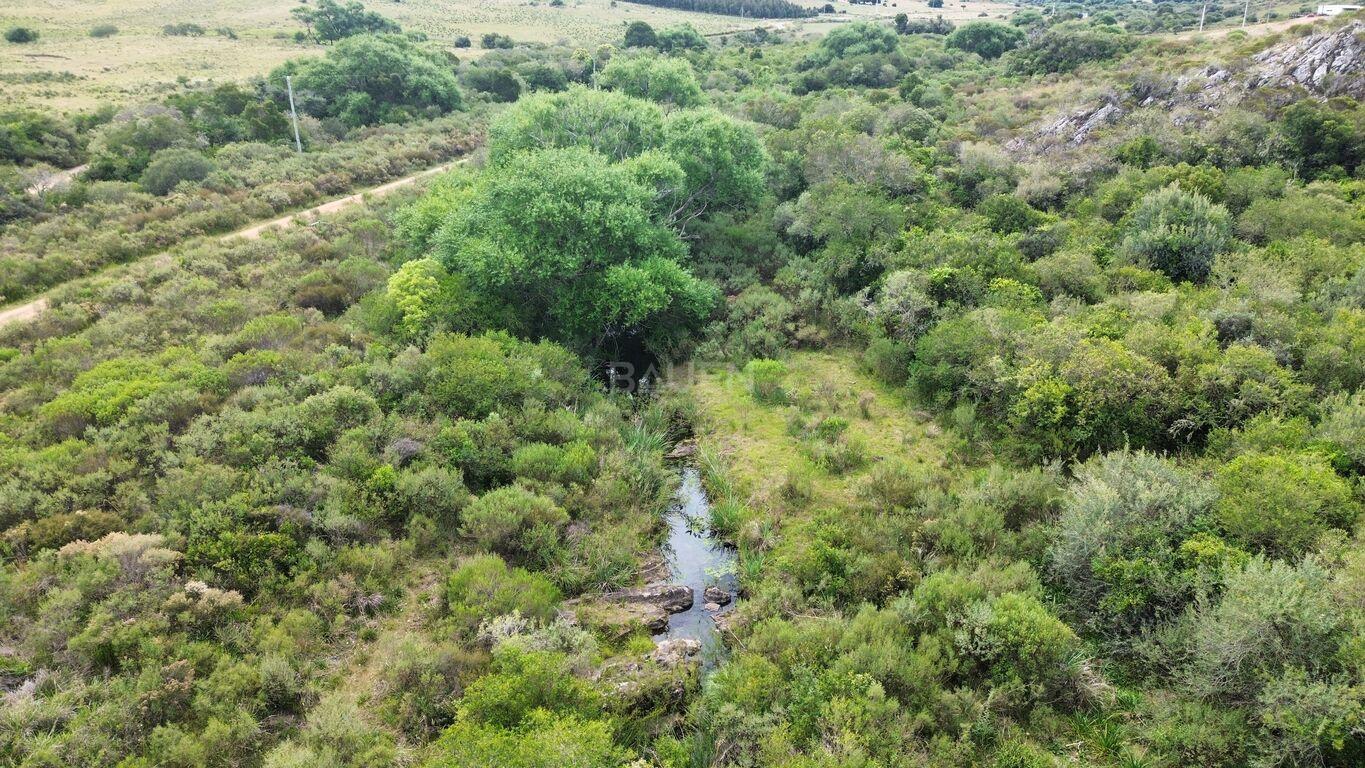 Chacra en Minas, propiedad 265676 -Imagen 23