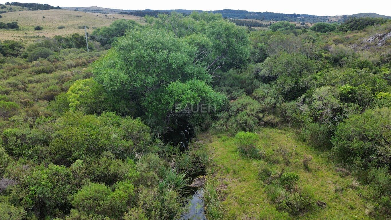 Chacra en Minas, propiedad 265676 -Imagen 24
