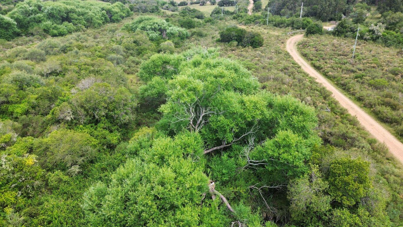 Chacra en Minas, propiedad 265676 -Imagen 25