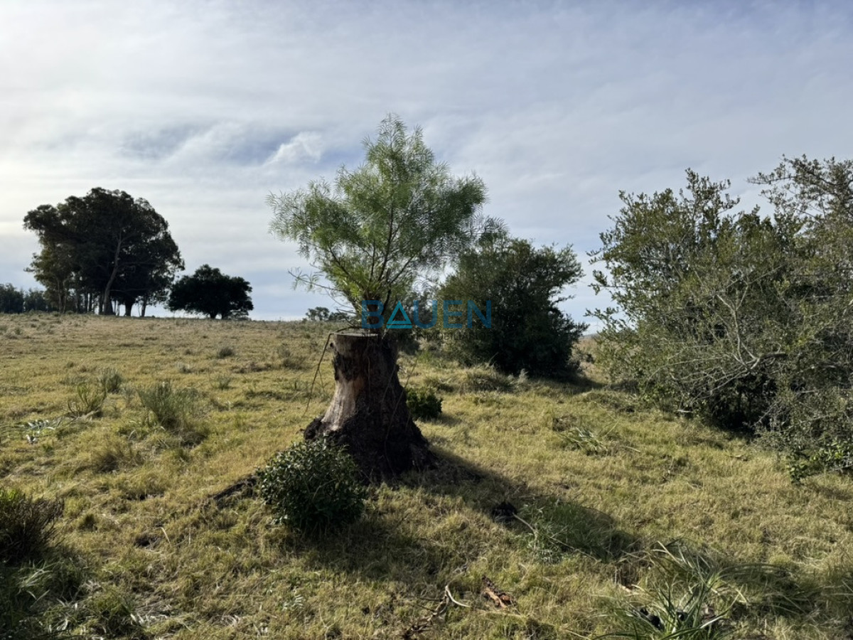 Chacra en Pueblo Eden, propiedad 274920 -Imagen 9