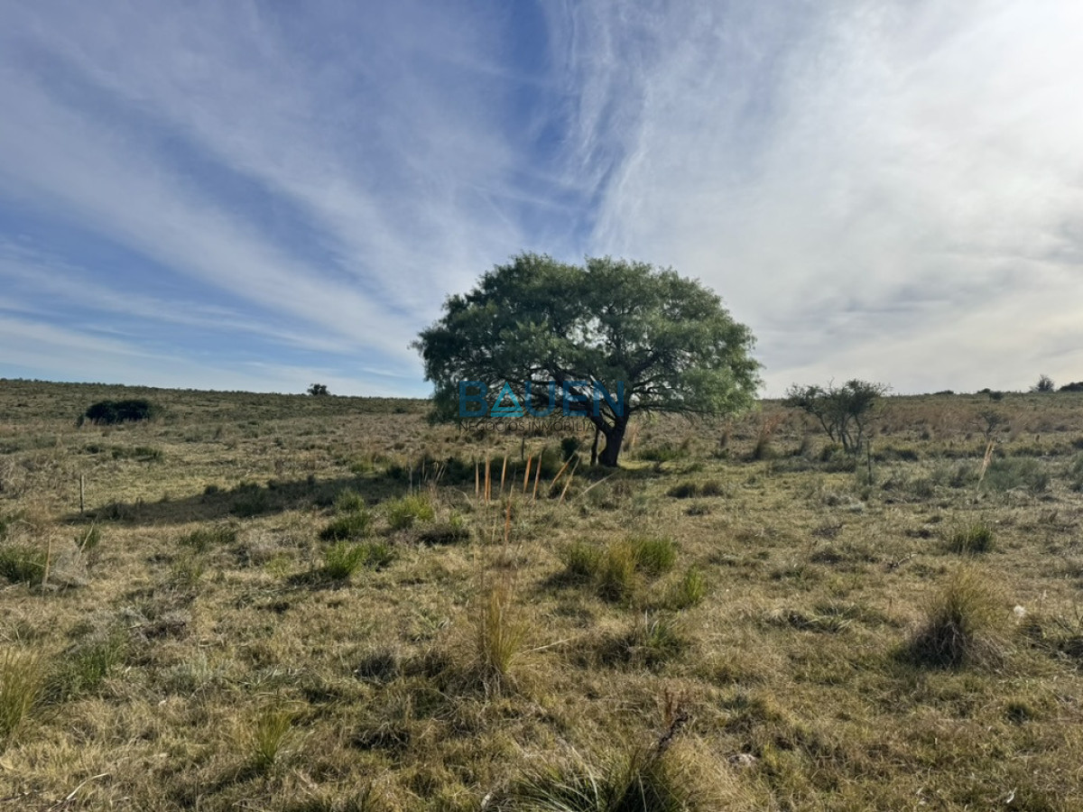Chacra en Pueblo Eden, propiedad 274920 -Imagen 10
