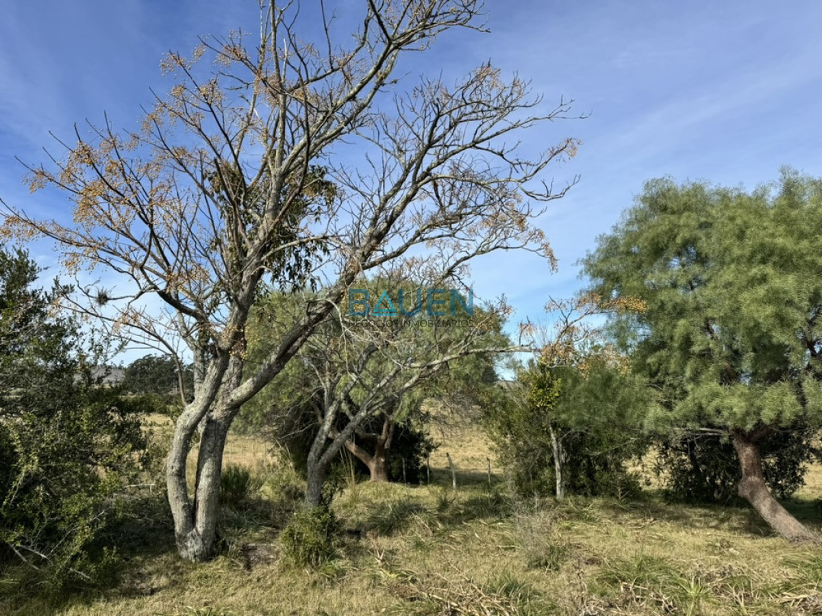 Chacra en Pueblo Eden, propiedad 274920 -Imagen 7