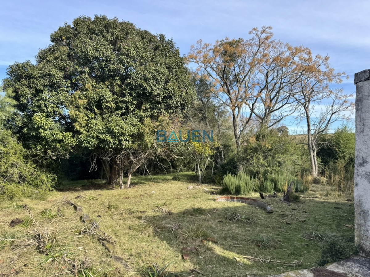 Chacra en Pueblo Eden, propiedad 274920 -Imagen 8