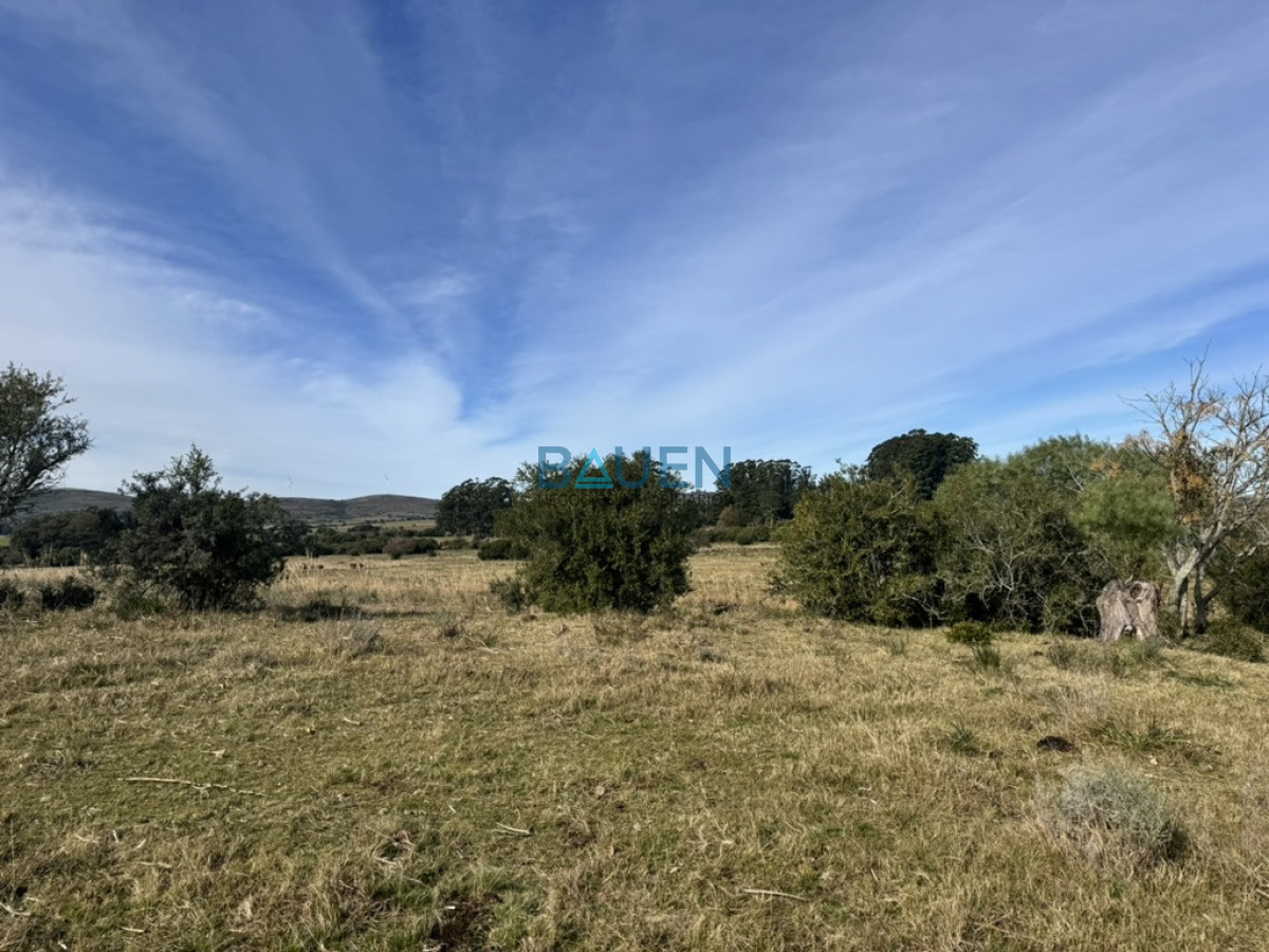 Chacra en Pueblo Eden, propiedad 274920 -Imagen 13