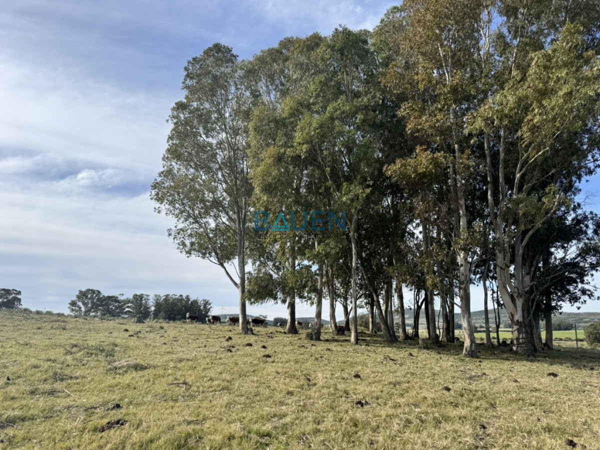 Chacra en Pueblo Eden, propiedad 274920 -Imagen 14