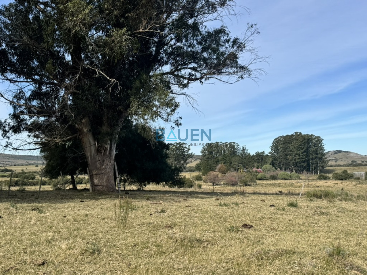 Chacra en Pueblo Eden, propiedad 274920 -Imagen 16
