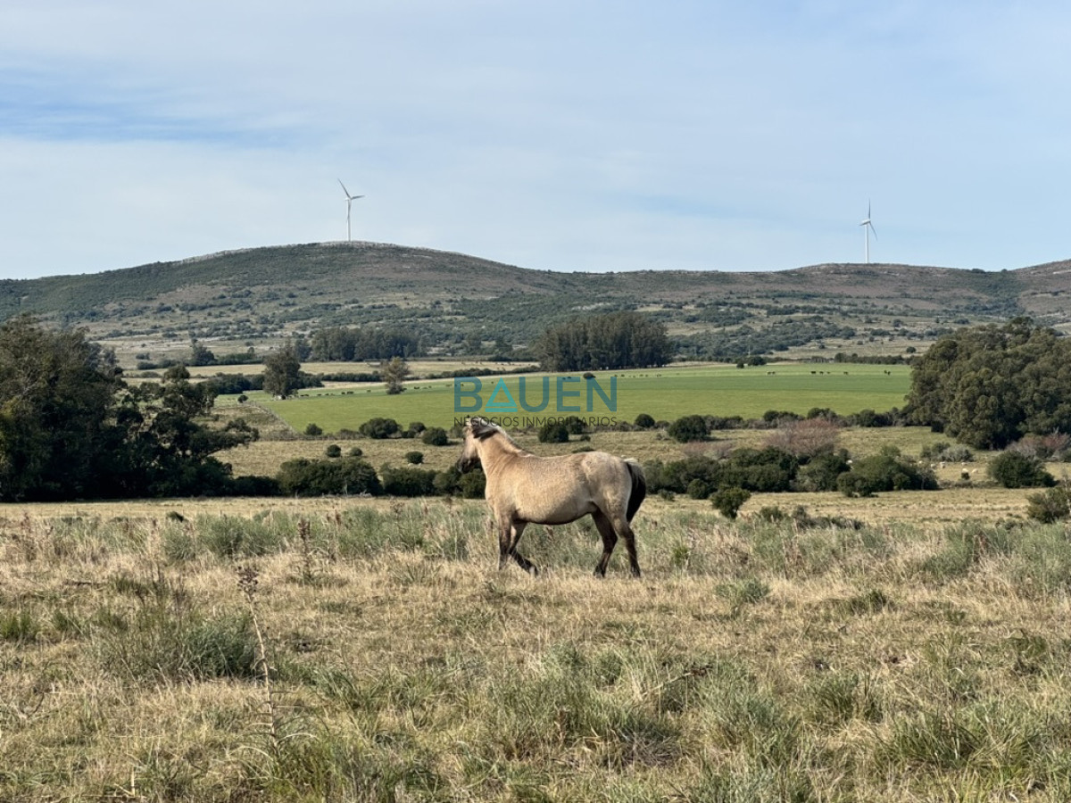 Chacra en Pueblo Eden, propiedad 274920 -Imagen 19