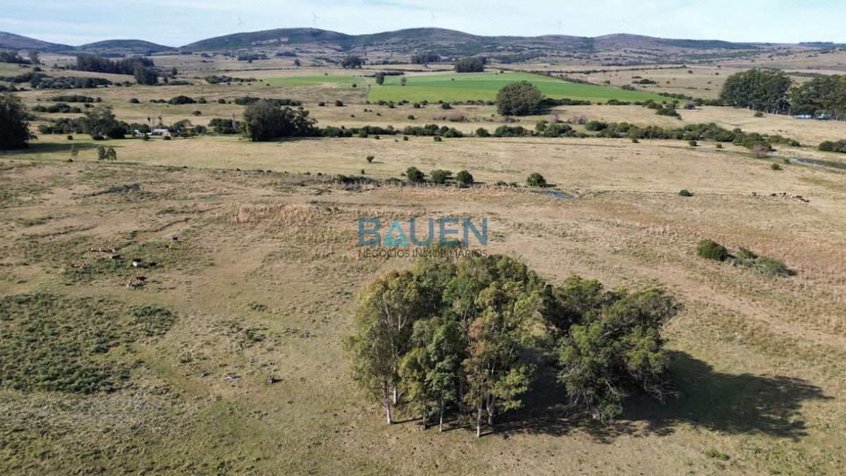 Chacra en Pueblo Eden, propiedad 274920 -Imagen 23