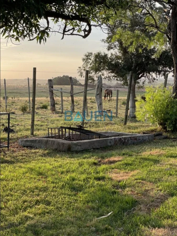 Chacra en José Ignacio, propiedad 282633 -Imagen 16