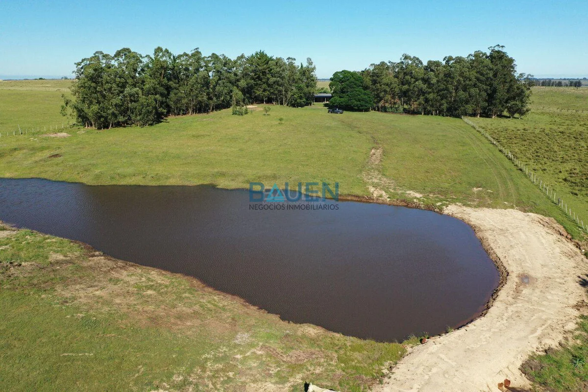Chacra en José Ignacio, propiedad 282633 -Imagen 21