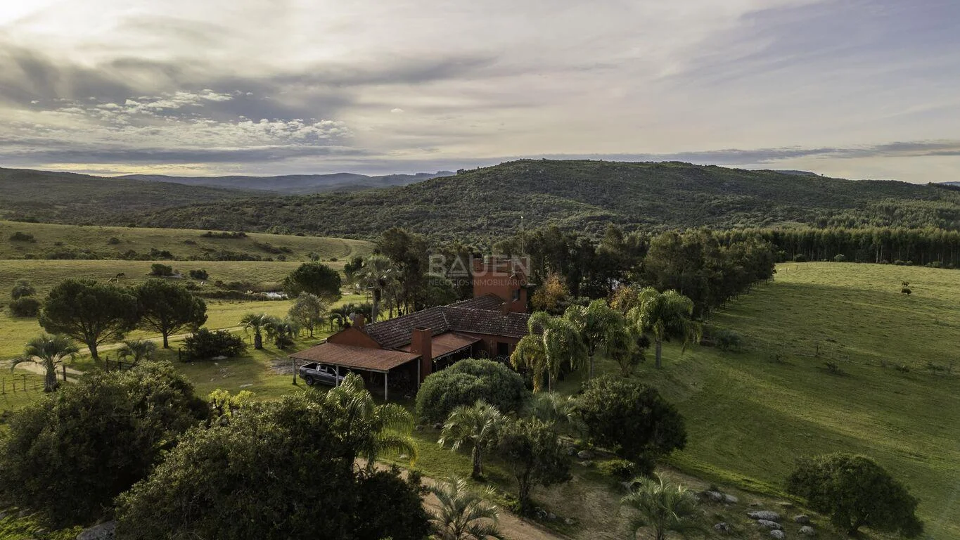 Campo en Garzón, propiedad 43351 -Imagen 10