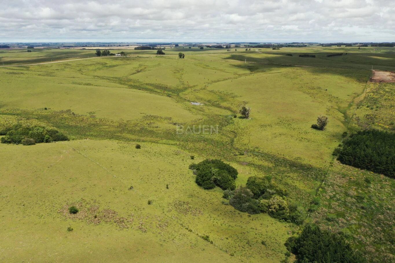 Chacra en Rural, propiedad 61296 -Imagen 11