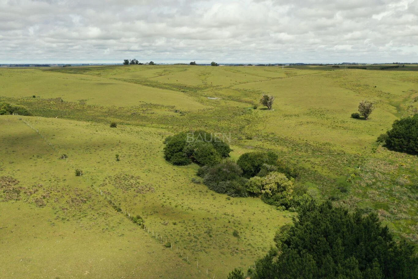 Chacra en Rural, propiedad 61296 -Imagen 12