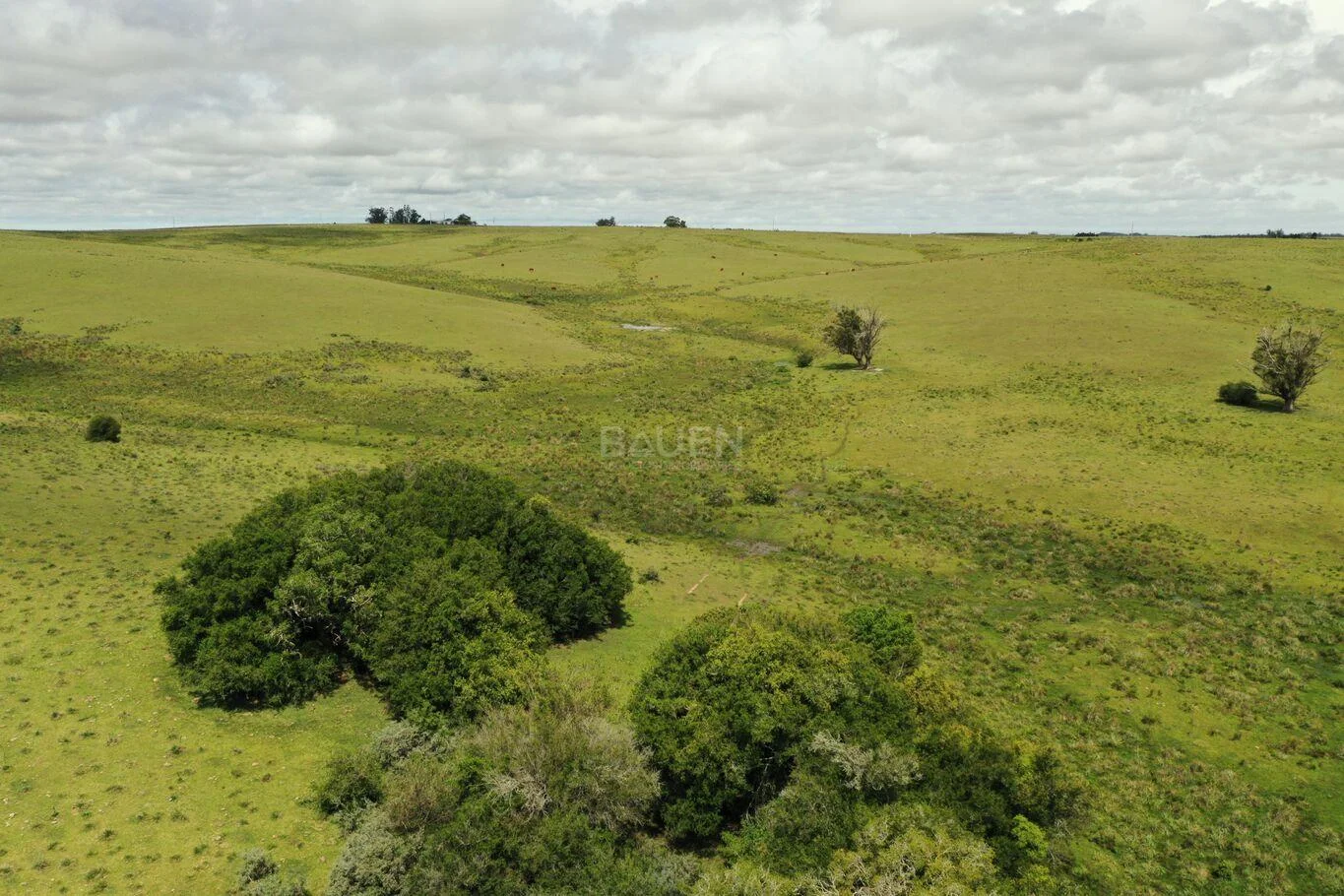 Chacra en Rural, propiedad 61296 -Imagen 4