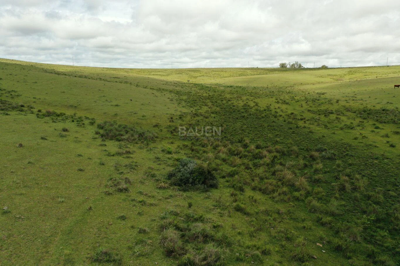Chacra en Rural, propiedad 61296 -Imagen 7