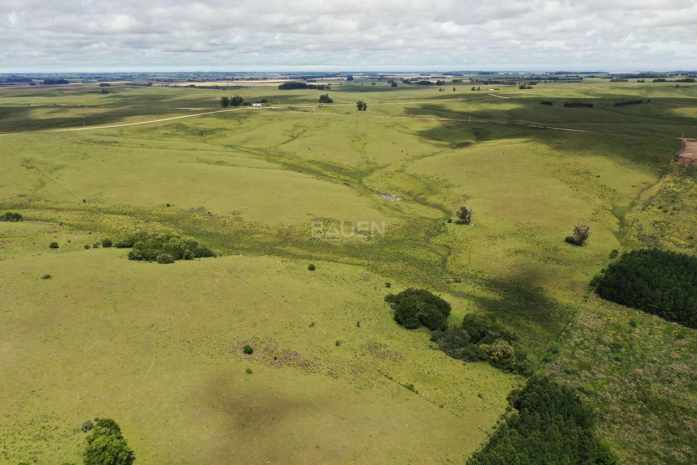 Chacra en Rural, propiedad 61296 -Imagen 8