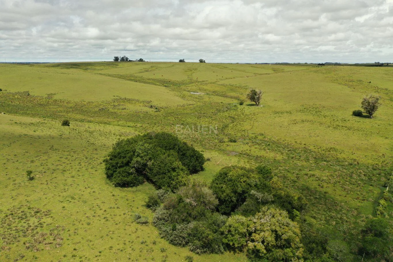 Chacra en Rural, propiedad 61296 -Imagen 9