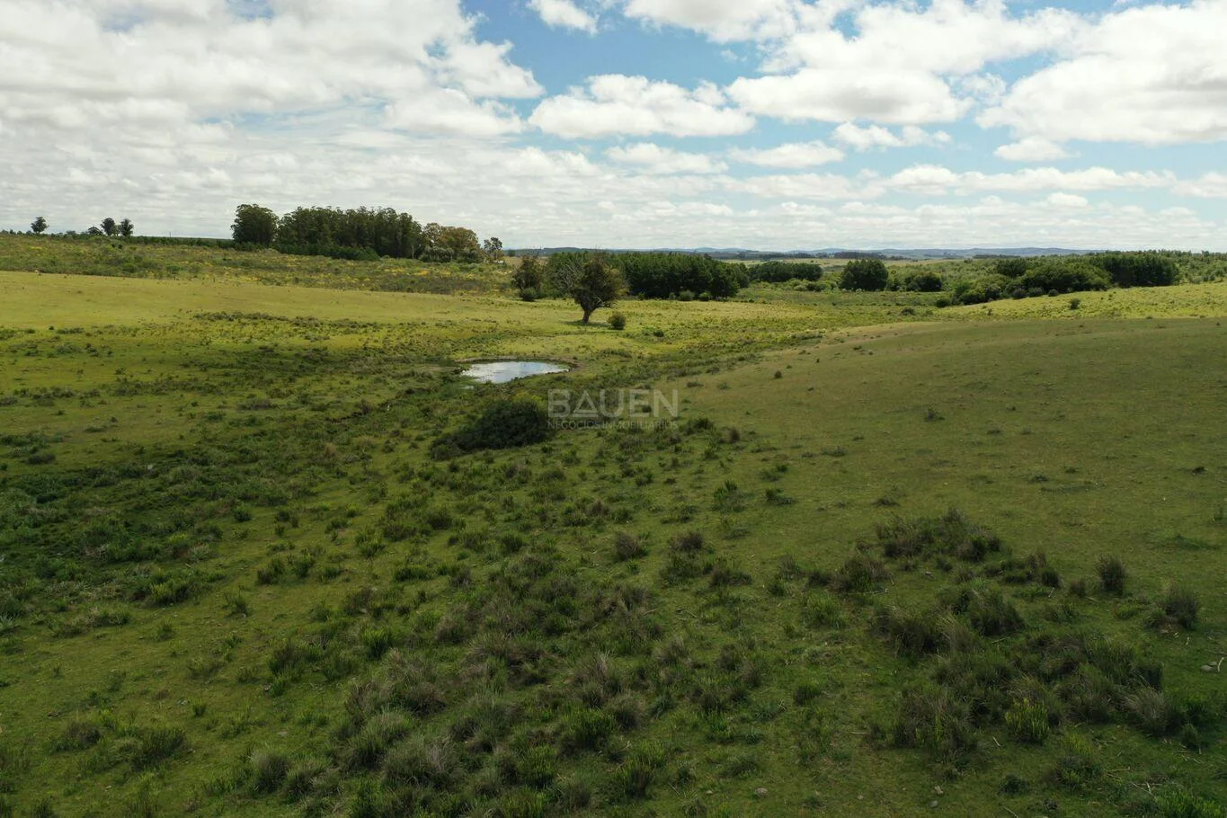 Chacra en Rural, propiedad 61296 -Imagen 10