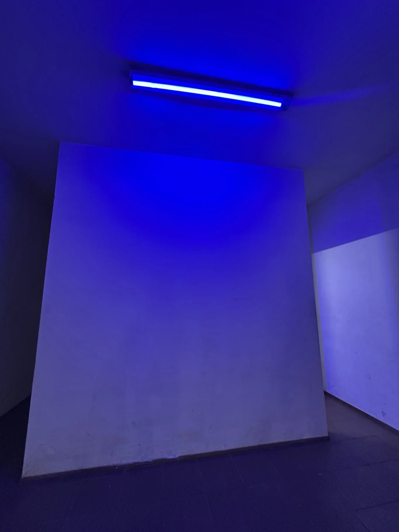 Local en Ciudad Vieja, propiedad 296653 -Imagen 10