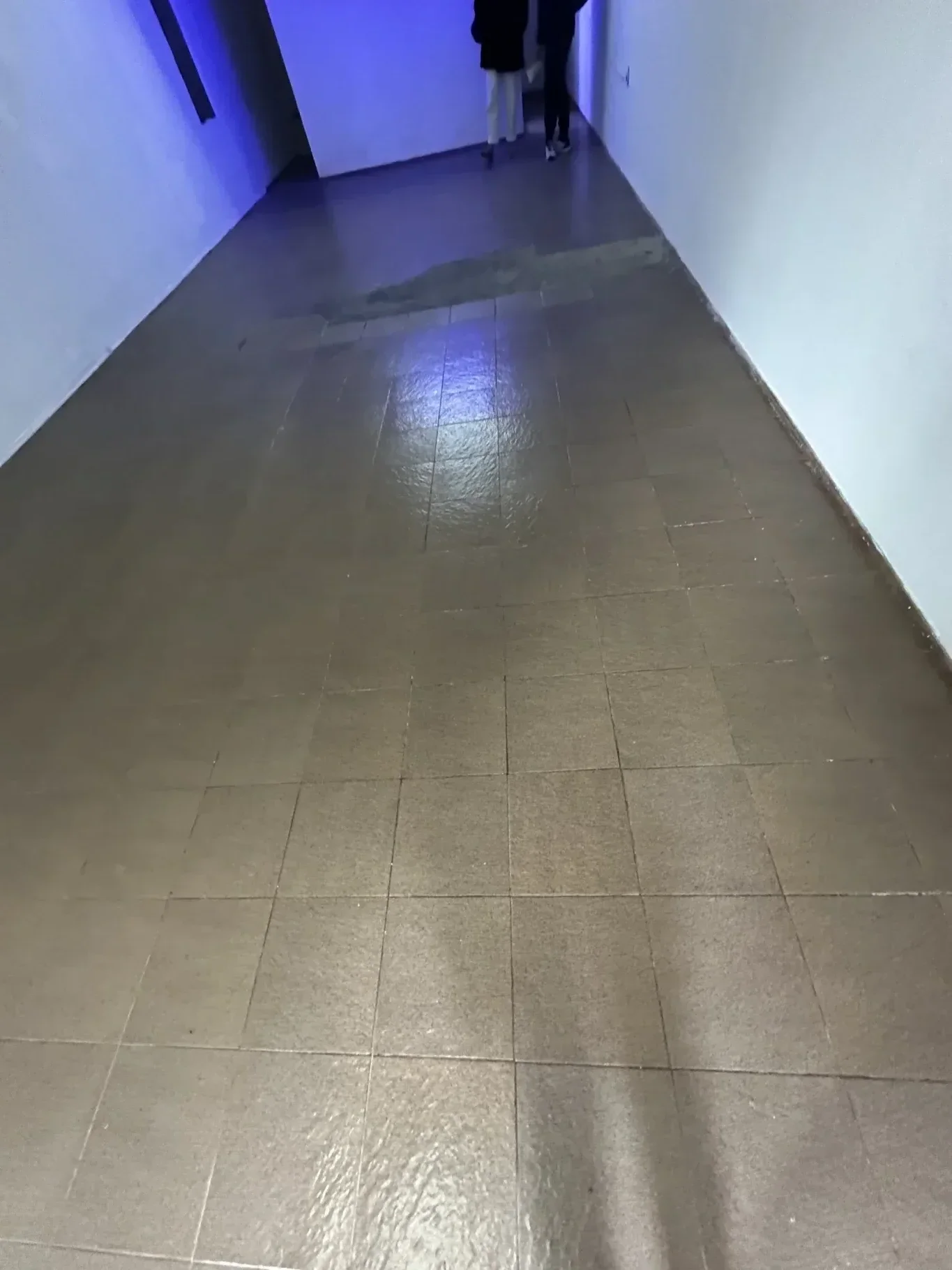 Local en Ciudad Vieja, propiedad 296653 -Imagen 6