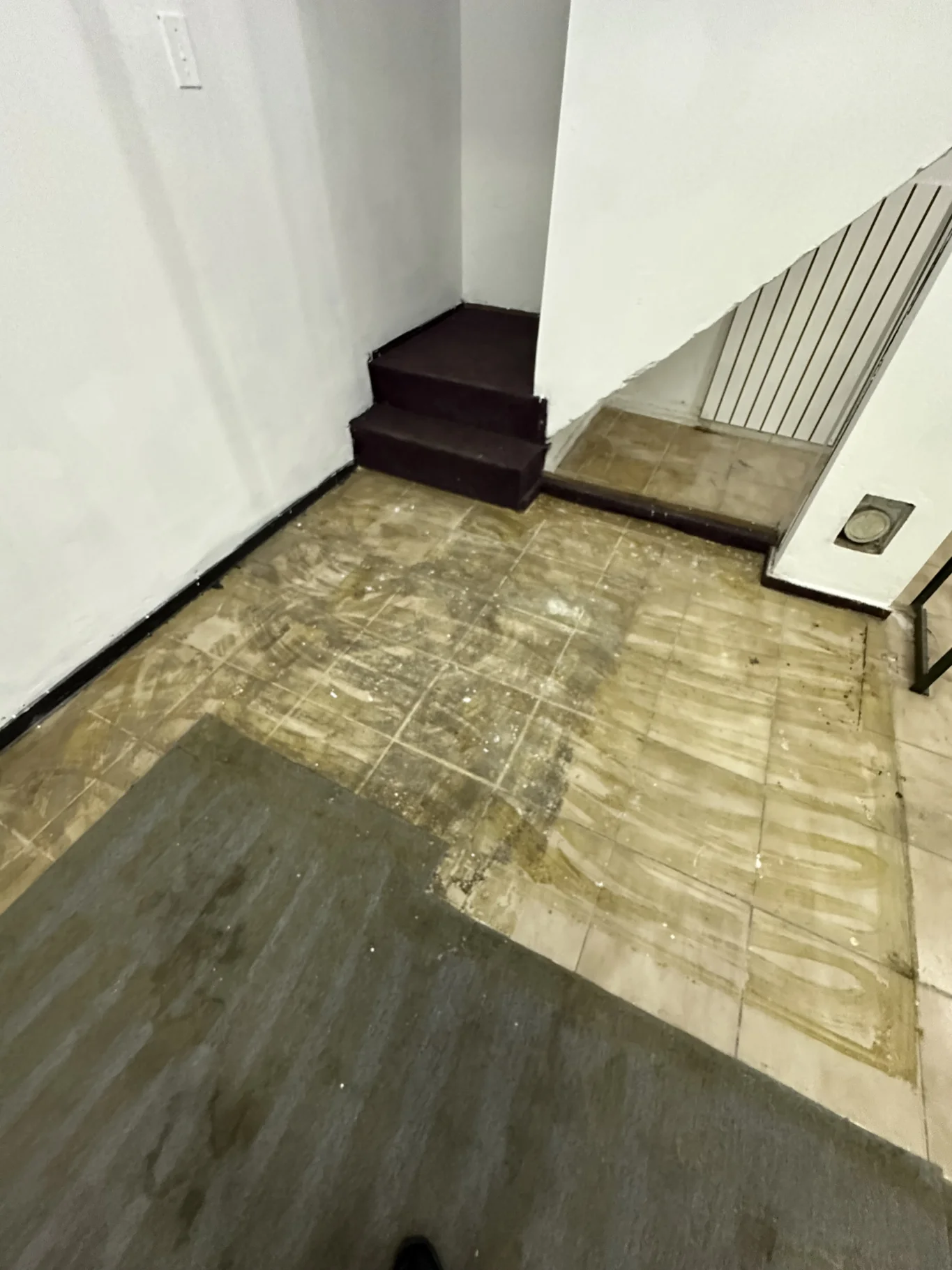 Local en Ciudad Vieja, propiedad 296653 -Imagen 3