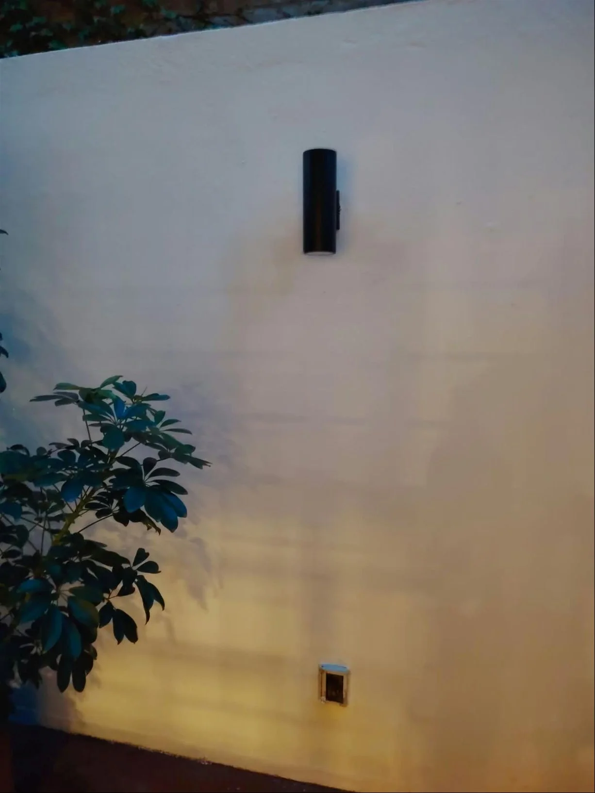 Apartamento en Punta Carretas, propiedad 300022 -Imagen 5
